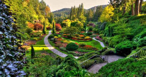 學(xué)習(xí)國外苗木行業(yè)經(jīng)驗，搶先了解國內(nèi)市場動態(tài)