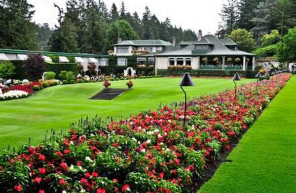 學(xué)習(xí)國外苗木行業(yè)經(jīng)驗，搶先了解國內(nèi)市場動態(tài)