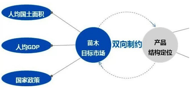 學(xué)習(xí)國外苗木行業(yè)經(jīng)驗，搶先了解國內(nèi)市場動態(tài)