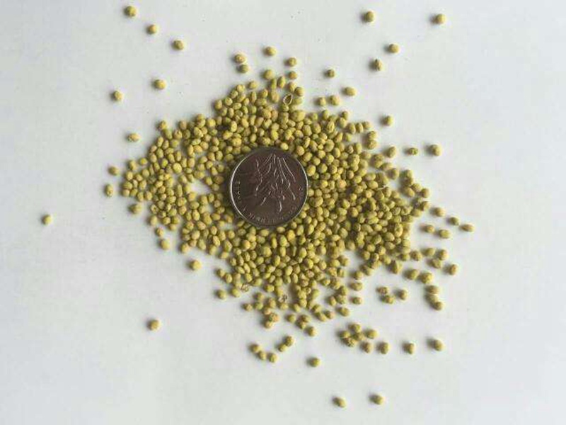 包衣紫花苜蓿種子 包衣紫花苜蓿種子